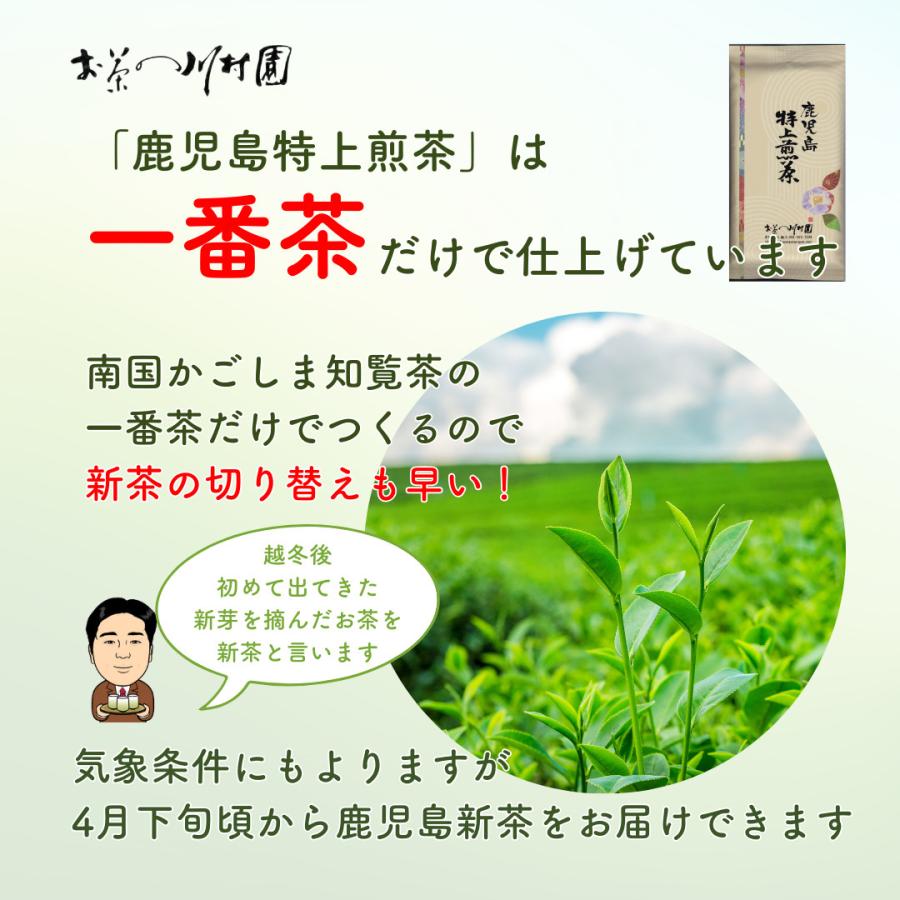 お茶 お茶の葉 知覧茶 鹿児島特上煎茶 100g さえみどり 深蒸し茶 水