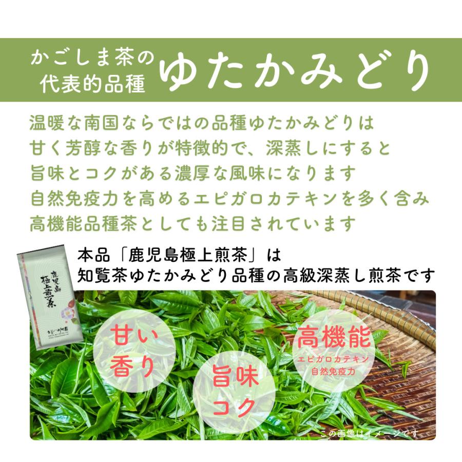 新茶 2025 知覧 深蒸し 鹿児島極上煎茶100g お茶 お茶の葉 緑茶 新茶 2025 知覧 深蒸し 鹿児島極上煎茶100g お茶 お茶の葉 緑茶