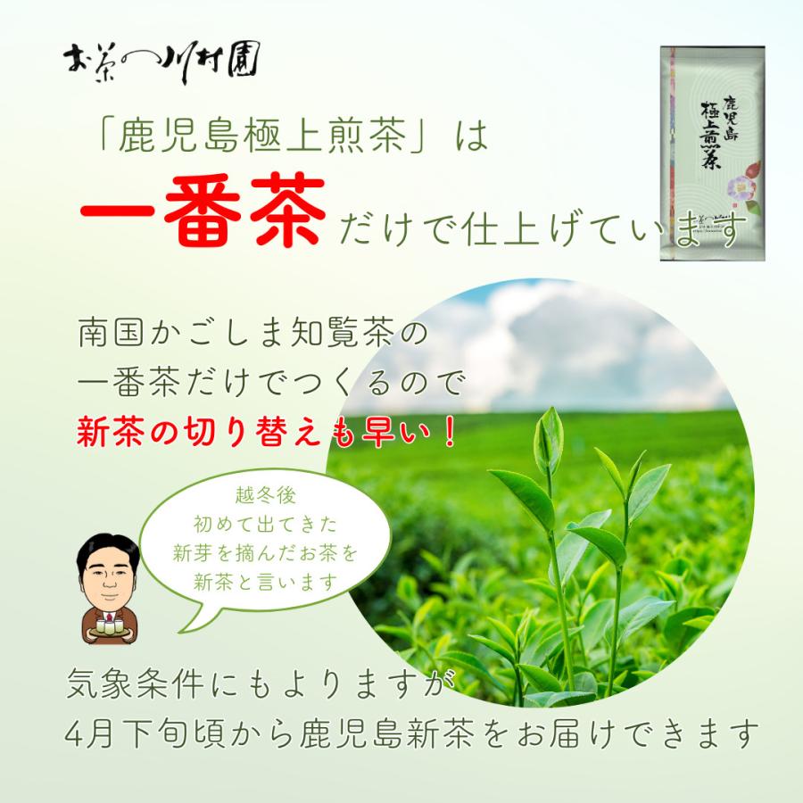 新茶 お茶 知覧茶 鹿児島極上煎茶 100g 高級茶 深蒸し茶 ゆかたみどり