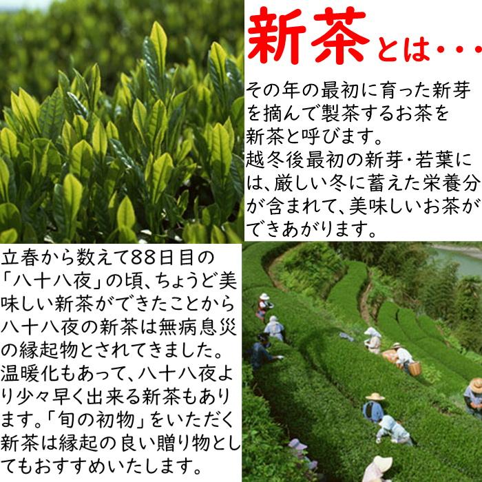 父の日 御中元 2024 新茶ギフト 静岡 鹿児島 飲み比べ 旬の極上新茶ギフト 深蒸し煎茶100g×2袋 詰合せ 各種のし対応｜kawamuraen｜02