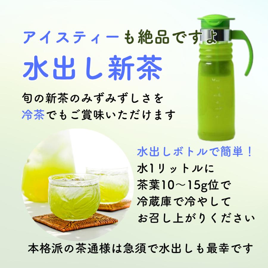 新茶 お茶 お茶の葉 静岡茶 「霧山河 静岡特上」深蒸し煎茶 100g 緑茶