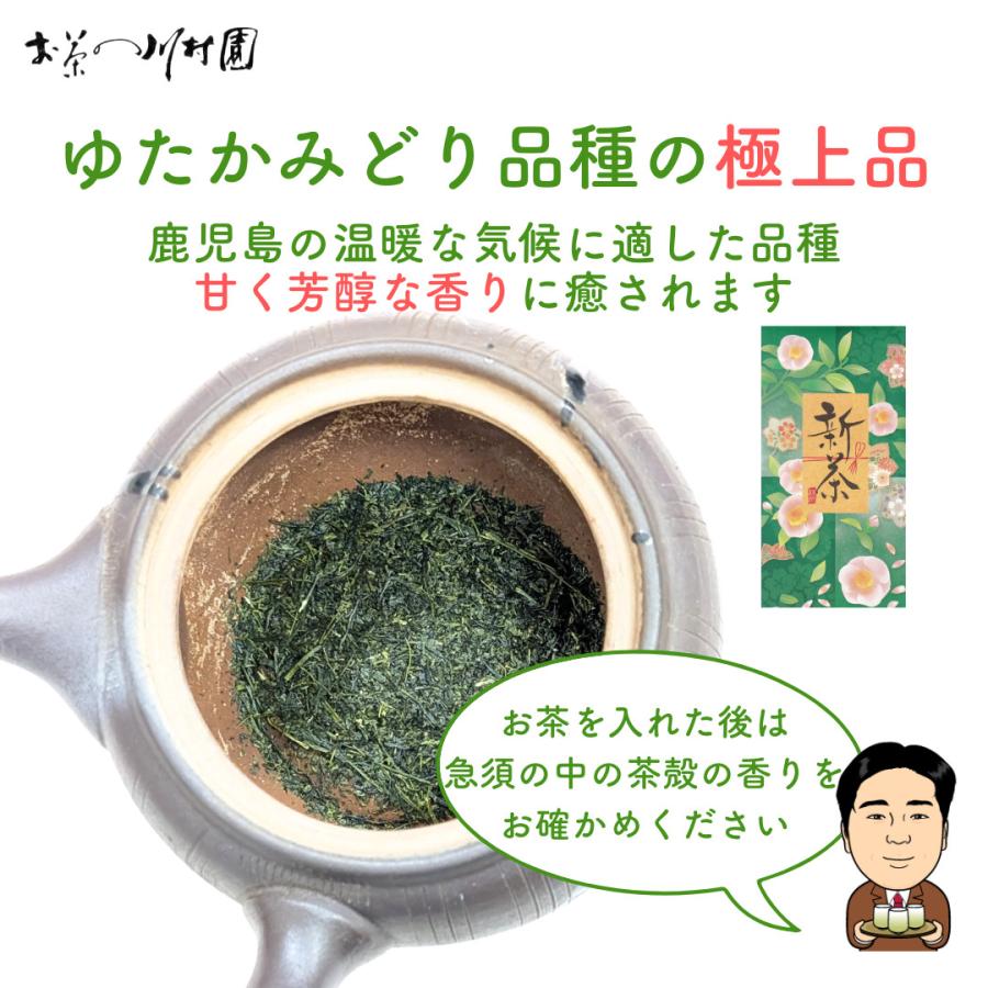 お中元 お茶 ギフト 新茶 飲み比べ 極上50g×3品種 詰合せ 静岡茶 知覧