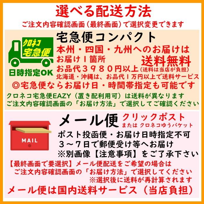 新茶 2024年産 新茶ティーバッグ 3g×12個 鹿児島 知覧 高級 メール便選択で1袋から送料無料｜kawamuraen｜09