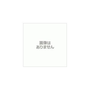 レトロ　アウトポケットダレスボストン本革付属 トラベルバッグ 1484-01_9