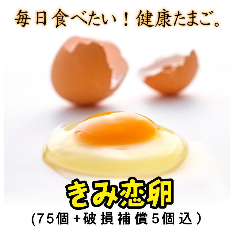送料無料 宮崎県産たまご「きみ恋卵」5kg(75個)＋破損補償5個入り