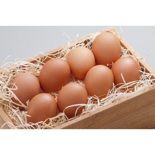 【送料無料】宮崎県産たまご「きみ恋卵」5kg(75個)+破損補償5個入り|kawanaka|03