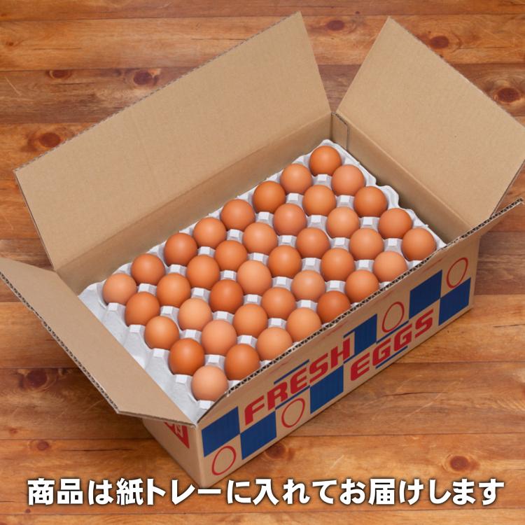 【送料無料】宮崎県産たまご「きみ恋卵」5kg(75個)+破損補償5個入り|kawanaka|04