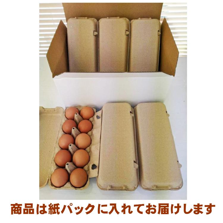 送料無料】宮崎県産たまご「きみ恋卵」55個+破損補償5個入り :n2jhgfskk66:河中農園ヤフー店 - 通販 - Yahoo!ショッピング 送料無料】宮崎県産たまご「きみ恋卵」55個+破損補償5個入り :n2jhgfskk66:河中農園ヤフー店 - 通販 - Yahoo!ショッピング
