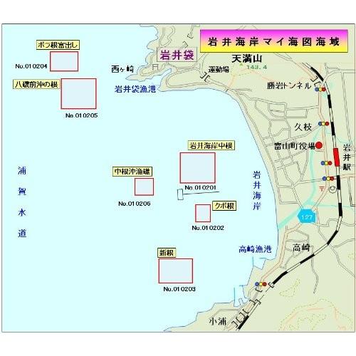 マイ海図 高精細印刷版パウチ加工無し 内房岩井海岸６枚組 D 川奈観光ボートハウス 通販 Yahoo ショッピング