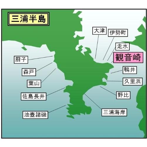 マイ海図 高精細印刷版パウチ加工無し 東京湾観音崎11枚組 D 川奈観光ボートハウス 通販 Yahoo ショッピング