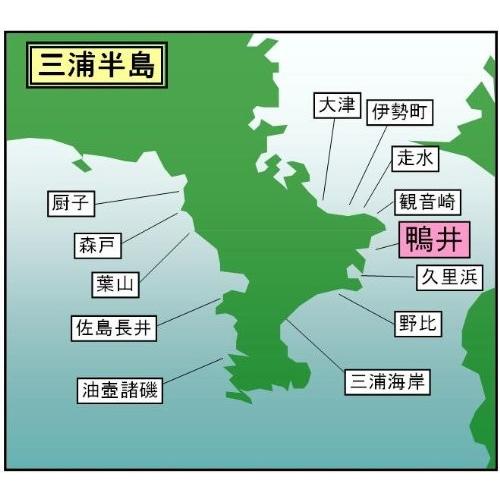 マイ海図 高精細印刷版パウチ加工無し 東京湾鴨居沖6枚組 D 川奈観光ボートハウス 通販 Yahoo ショッピング