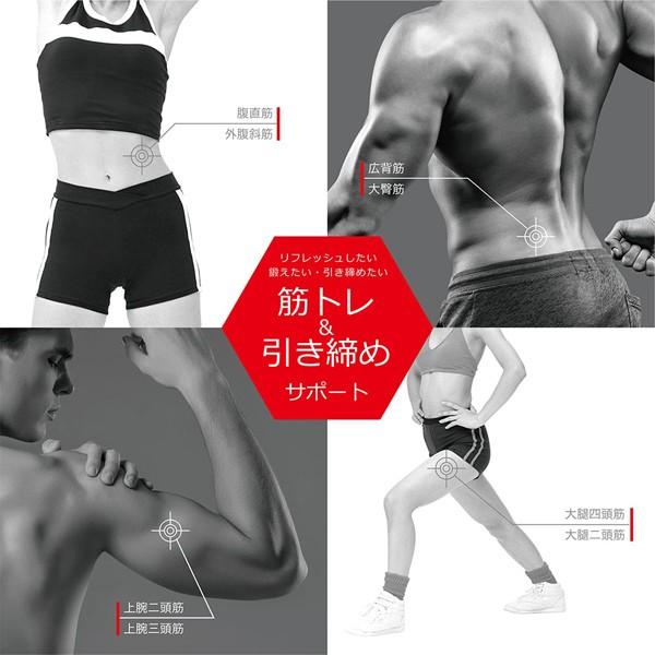 EMS ジムパッドプロ GYM PAD PRO MEF-39 4627/送料無料
