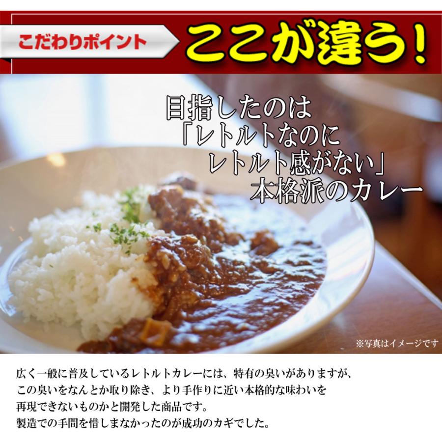 レトルトカレー お肉屋さんのビーフカレー 1人前220g キンリューフーズｘ１食｜kawanetjigyoubu｜05