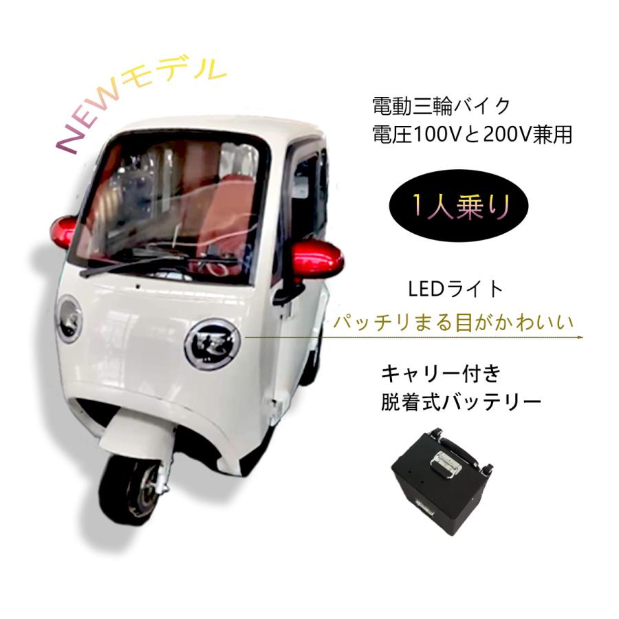 電動3輪バイク 輸入 新車 ミニカー登録 ・側車付軽二輪登録車ミニトラック(日本初の車体販売ですので是非お考えください) 日本エレクトライクの新たなトライクは バイクのようなミニカー