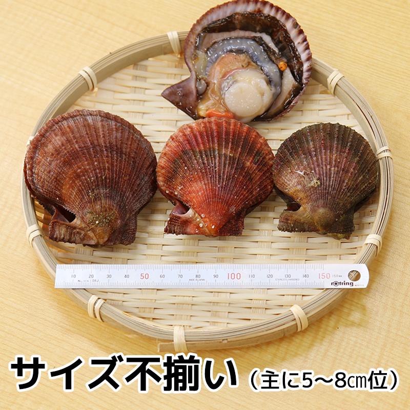 岩手三陸 山田町産 赤皿貝 アカザラ貝 2kgセット 加熱用 漁師直送クール便 配送エリア限定 16 2 やまだ地産地消ラボ By 釜揚げ屋 通販 Yahoo ショッピング