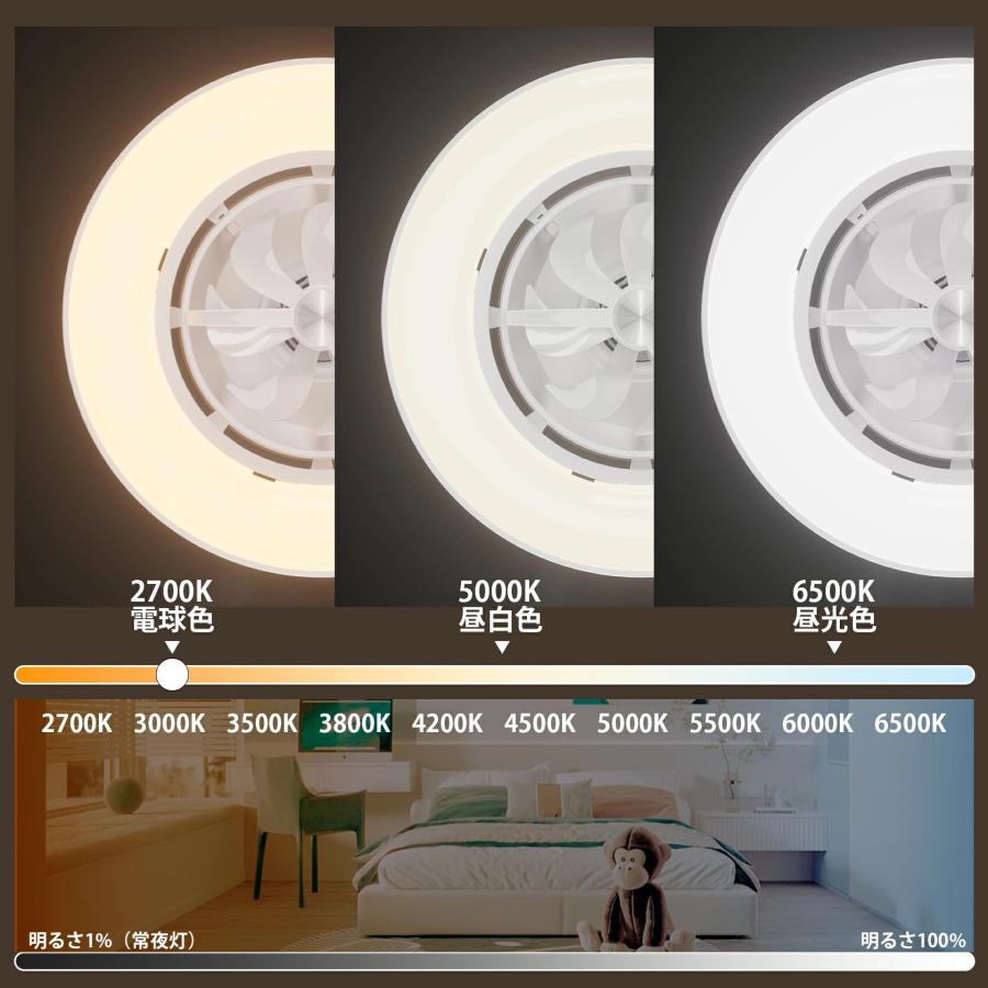 シーリングファンライト 首振り led 導光板 12畳 4500lm 静音 調光調色