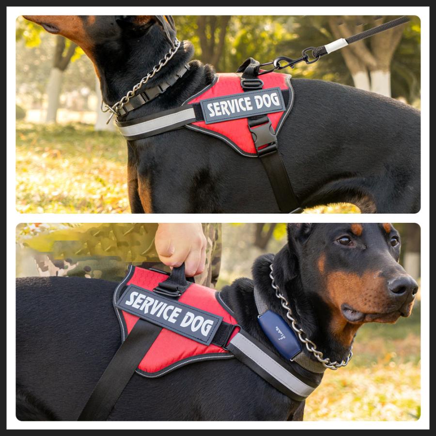 名入れ可】犬 ハーネス 胴輪 単品 名入れ イニシャル 簡単装着