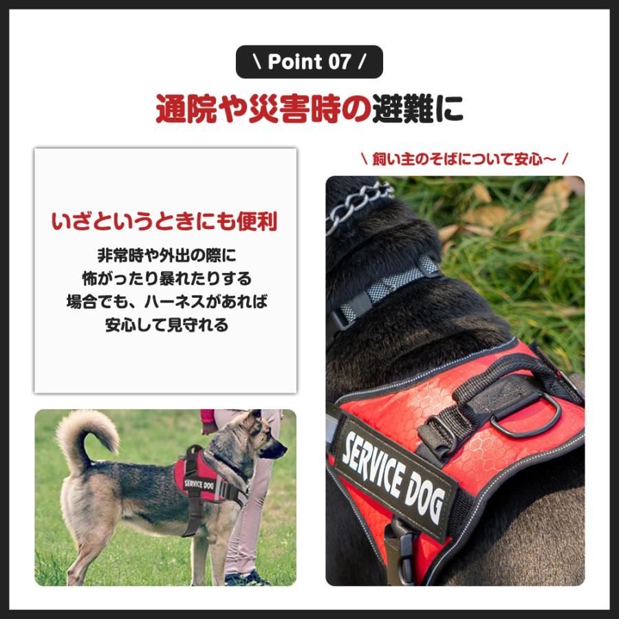 名入れ可】犬 ハーネス 胴輪 単品 名入れ イニシャル 簡単装着