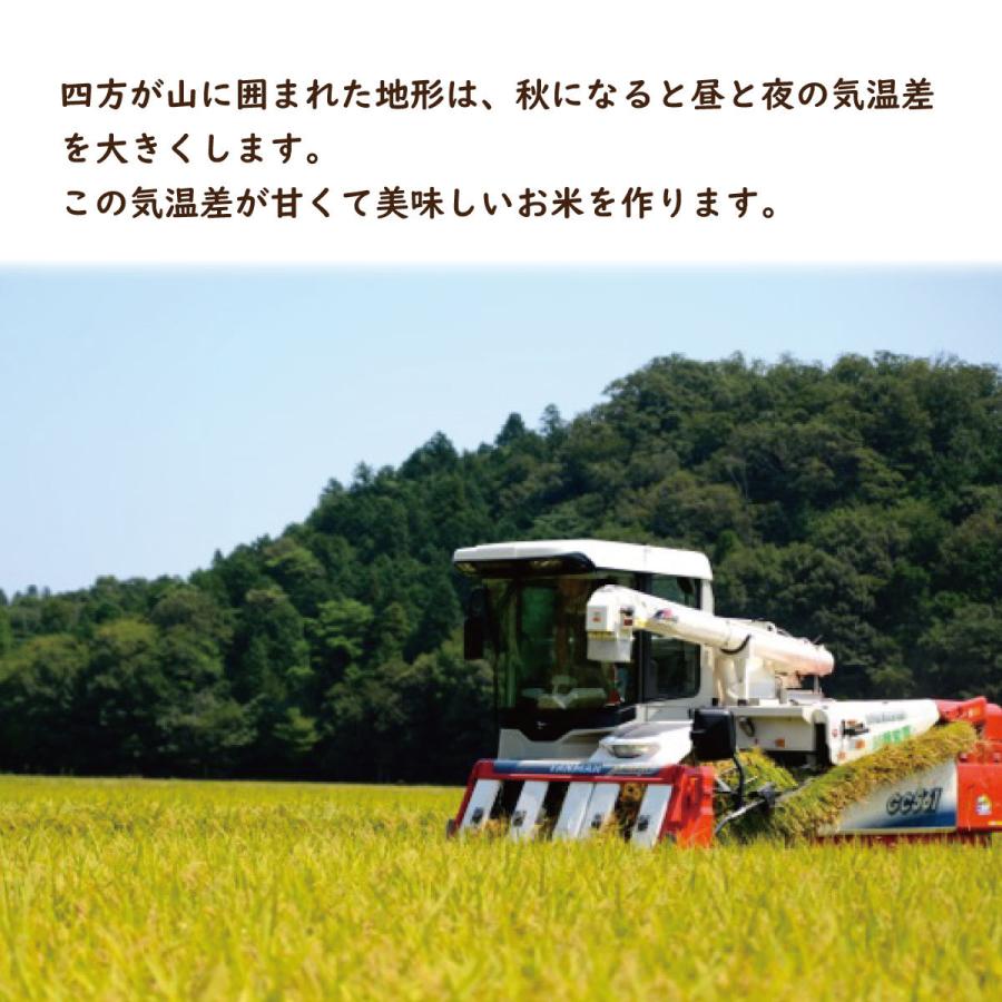 コシヒカリ 新米コシヒカリ 20kg(10kg×2) 1等米 白米,玄米 令和 コシヒカリ 新米コシヒカリ 20kg(10kg×2) 1等米 白米,玄米 令和