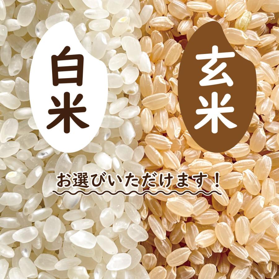 【完売しました】蛍の里のコシヒカリ  30kg(10kg×3) 令和５年産 １等米 滋賀県産 農家直送 送料無料｜kawase-farm｜04