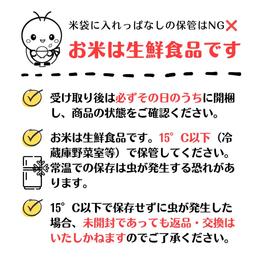 コシヒカリ 【蛍の里のコシヒカリ】30kg(10kg×3) 令和7年産 1等 白米