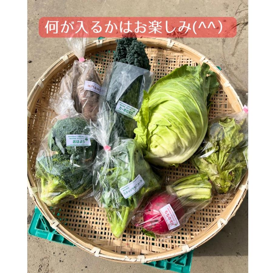 限定30個 とれたて冬野菜セット 10種類以上 100サイズ 滋賀県産 農家直送 送料無料｜kawase-farm｜02