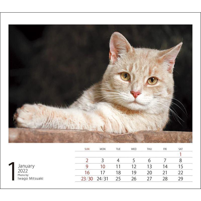 22ミニカレンダー 岩合光昭のネコ カレンダー 河瀬商店 通販 Yahoo ショッピング