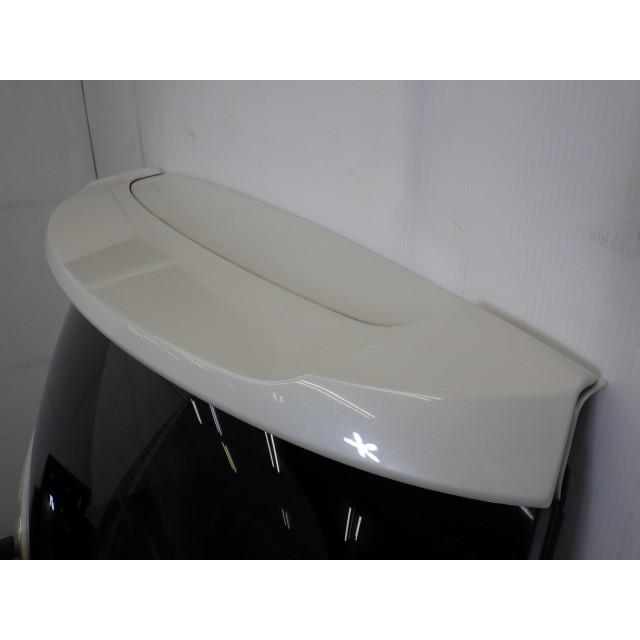 アイシス ANM10W リア ゲート バック ドア パネル 67005-44171