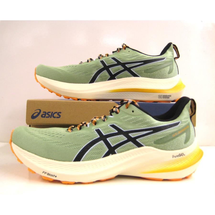 ASICS（アシックス） asics GT-2000 12 TR 1011b775 （250