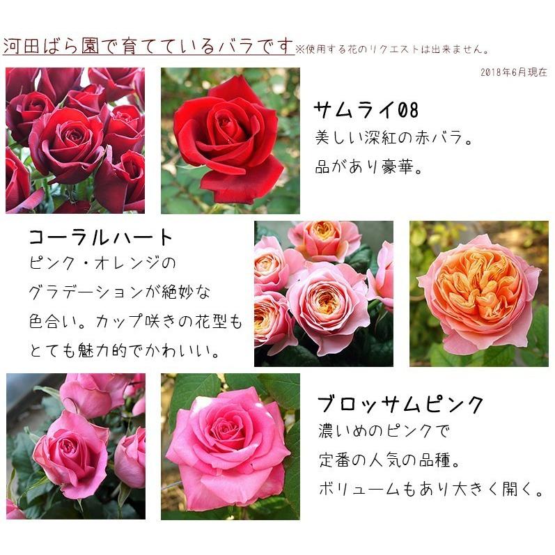 花 誕生日プレゼント 女性 男性 母 送料無料 フラワーアレンジメント バラ 退院祝い 退職祝い 結婚記念日 ギフト 20代 30代 40代 50代 60代 70代 80代 90代 :argmnt-0005:花農家から直送河田ばら園 - 通販 - Yahoo!ショッピング 花 誕生日プレゼント 女性 男性 母 送料無料 フラワーアレンジメント バラ 退院祝い 退職祝い 結婚記念日 ギフト 20代 30代 40代 50代 60代 70代 80代 90代 :argmnt-0005:花農家から直送河田ばら園 - 通販 - Yahoo!ショッピング
