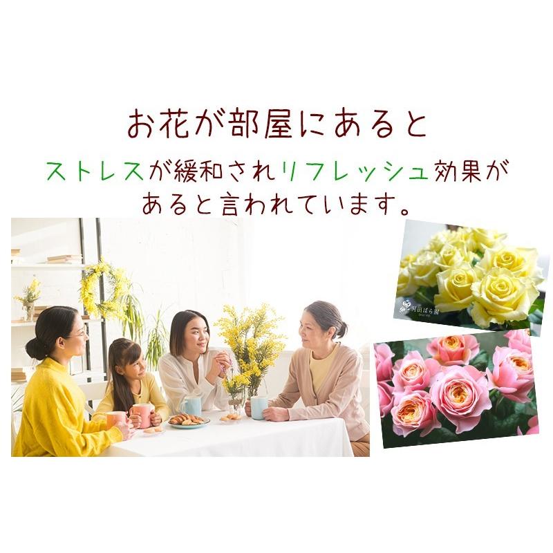 花 誕生日プレゼント 女性 男性 母 送料無料 フラワーアレンジメント バラ 退院祝い 退職祝い 結婚記念日 ギフト 20代 30代 40代 50代 60代 70代 80代 90代 :argmnt-0005:花農家から直送河田ばら園 - 通販 - Yahoo!ショッピング 花 誕生日プレゼント 女性 男性 母 送料無料 フラワーアレンジメント バラ 退院祝い 退職祝い 結婚記念日 ギフト 20代 30代 40代 50代 60代 70代 80代 90代 :argmnt-0005:花農家から直送河田ばら園 - 通販 - Yahoo!ショッピング