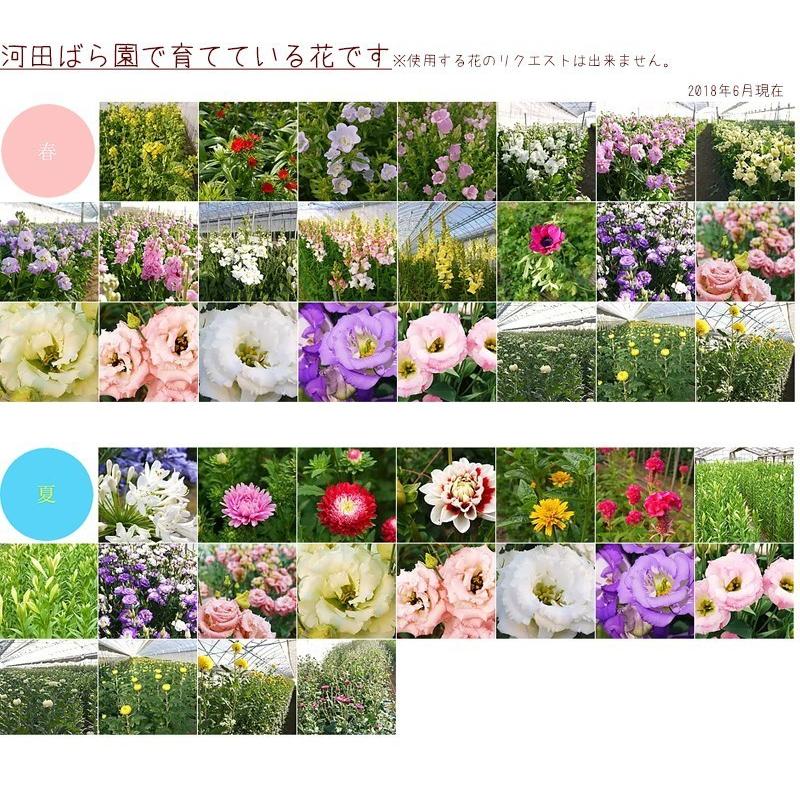 12月26日から1月1日着限定 正月 お正月 飾り 花 生花 アレンジ お正月飾り 玄関 手作り ギフト 迎春 2024 送料無料 バラ フラワーアレンジメント 渋沢栄一 |  | 14