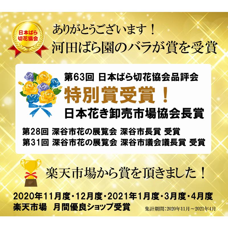 12月26日から1月1日着限定 正月 お正月 飾り 花 生花 アレンジ お正月飾り 玄関 手作り ギフト 迎春 2024 送料無料 バラ フラワーアレンジメント 渋沢栄一 |  | 18