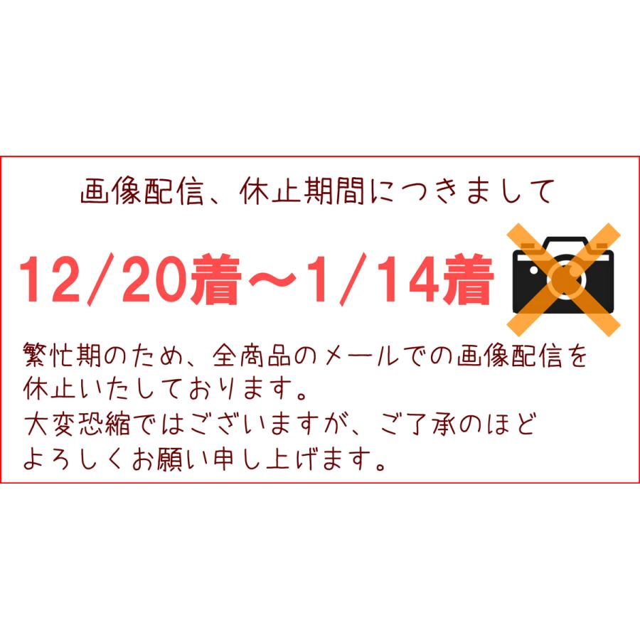 12月26日から1月1日着限定 正月 お正月 飾り 花 生花 アレンジ お正月飾り 玄関 手作り ギフト 迎春 2024 送料無料 バラ フラワーアレンジメント 渋沢栄一 |  | 20