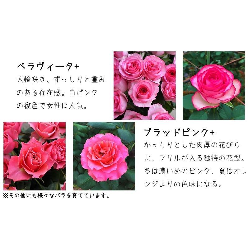 ケーキ 花 誕生日 フラワーケーキ バラ 女性 男性 母 送料無料 プレゼント 退職祝い 退院祝い 結婚記念日 ギフト 20代 30代 40代 50代 60代 70代 80代 90代 |  | 16