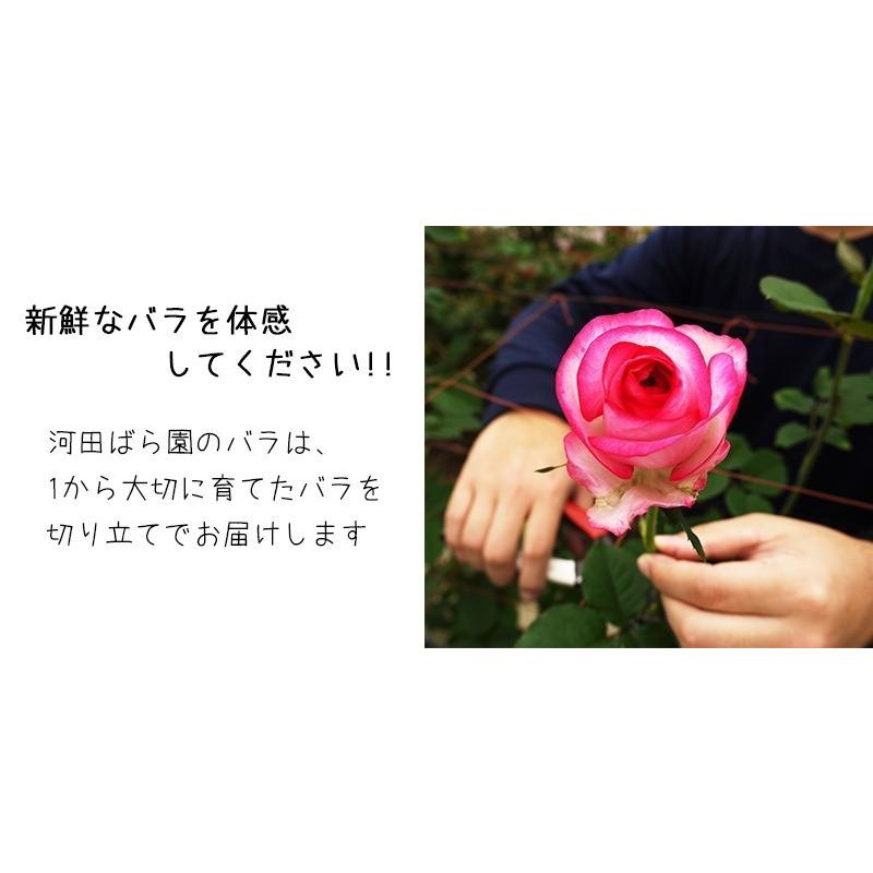 ケーキ 花 誕生日 フラワーケーキ バラ 女性 男性 母 送料無料 プレゼント 退職祝い 退院祝い 結婚記念日 ギフト 20代 30代 40代 50代 60代 70代 80代 90代 |  | 06