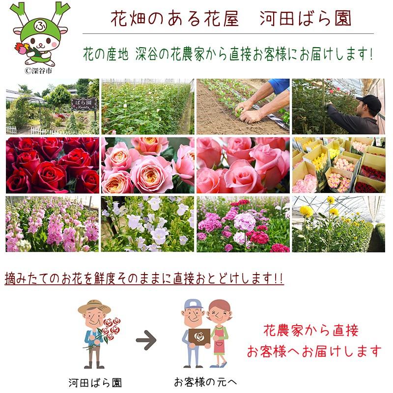 ケーキ 花 誕生日 フラワーケーキ バラ 女性 男性 母 送料無料 プレゼント 退職祝い 退院祝い 結婚記念日 ギフト 20代 30代 40代 50代 60代 70代 80代 90代 |  | 10