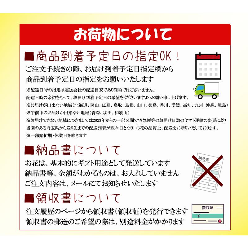 花 お供え お悔やみ 供花 法事 命日 仏花 ペット 月命日 お彼岸 一周忌 三回忌 七回忌 四十九日 月命日 法要 フラワーアレンジメント 花農家直送 送料無料 |  | 15