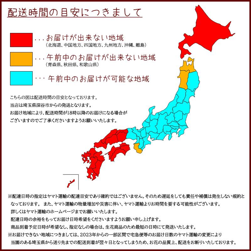 大サイズ 花 お供え お悔やみ 供花 命日 仏花 一周忌 三回忌 七回忌 ペット 月命日 四十九日 法事 お供え物 法要 フラワーアレンジメント 花農家直送 送料無料｜kawata-baraen｜17