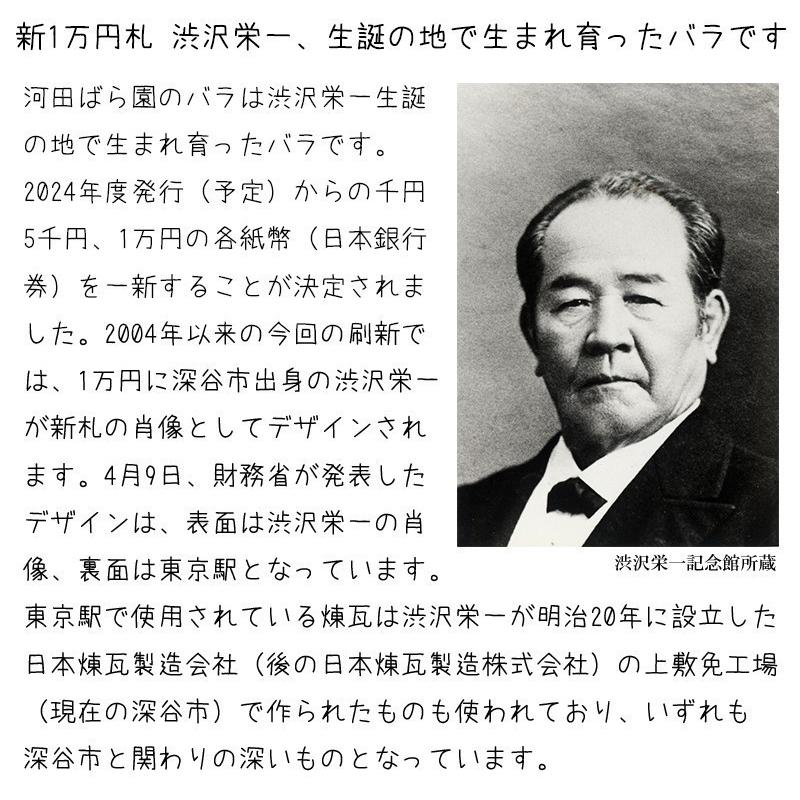 花 お供え お悔やみ 供花 法事 命日 仏花 ペット 月命日 一周忌 三回忌 七回忌 四十九日 月命日 お供え物 法要 フラワーアレンジメント 花農家直送 送料無料｜kawata-baraen｜15