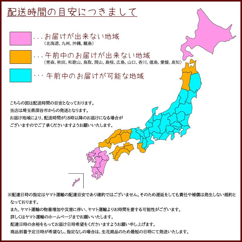 定価の ｏｆｆ 花 お供え お悔やみ 法事 命日 仏花 供花 ペット 一周忌 三回忌 七回忌 四十九日 月命日 法要 お彼岸 お盆 フラワーアレンジメント 花農家直送 送料無料 Aynaelda Com