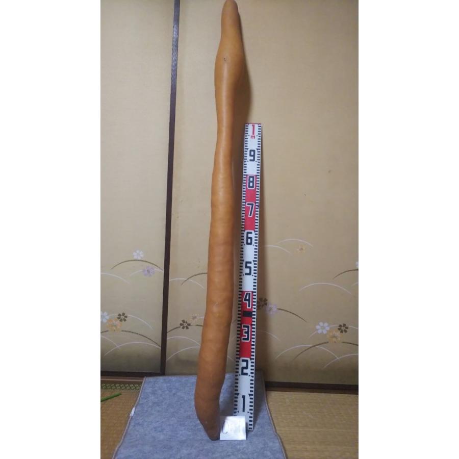 目川ひょうたん 1点もの 自然素材 O長ー1-2200（140センチ） : 川寅こ