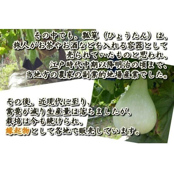 目川ひょうたん 1点もの 自然素材 O長ー4-2200（75センチ） : 川寅こば