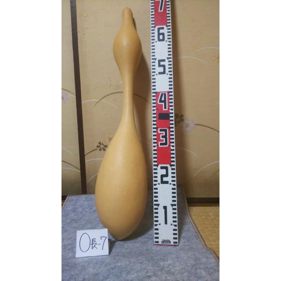 目川ひょうたん 1点もの 自然素材 O長ー7-2200（65センチ） : 川寅こば  