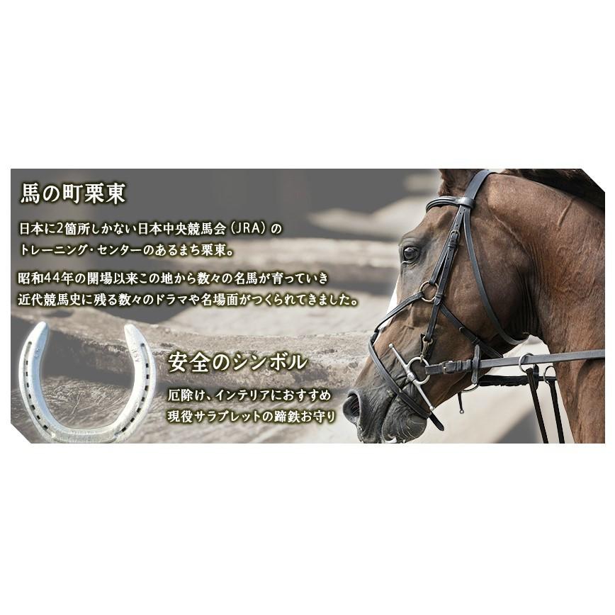 馬蹄鉄のお守り 10個入り 現役サラブレッドの古蹄鉄 （開運蹄鉄 競馬