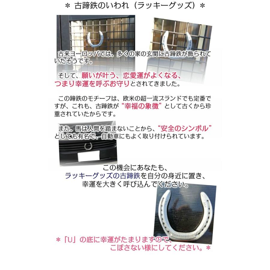 馬蹄鉄のお守り 10個入り 現役サラブレッドの古蹄鉄 （開運蹄鉄 競馬