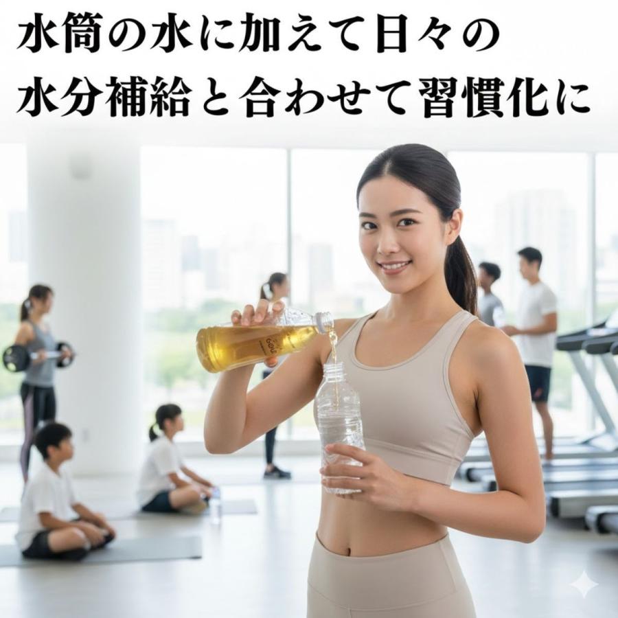 EMXゴールド 500ml 2本 EMXGOLD emx gold emゴールド em EM生活 健康