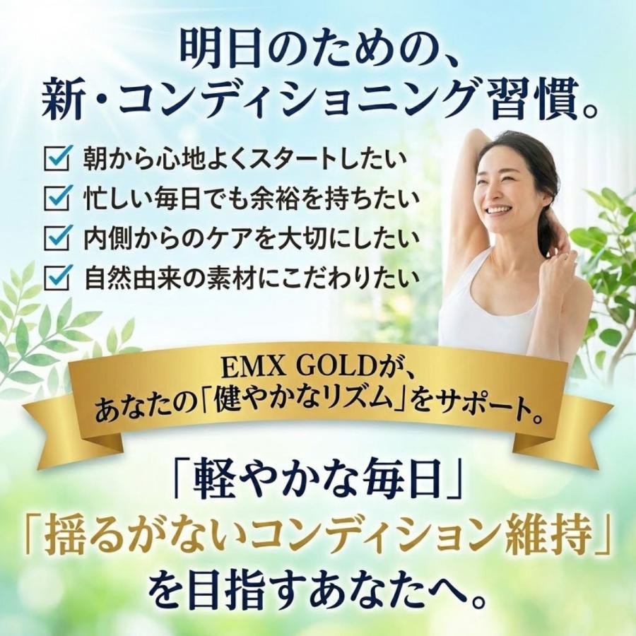 EMXゴールド EMX GOLD EMXGOLD 500ml × 3本 EMW 1本 栄養ドリンク 健康 