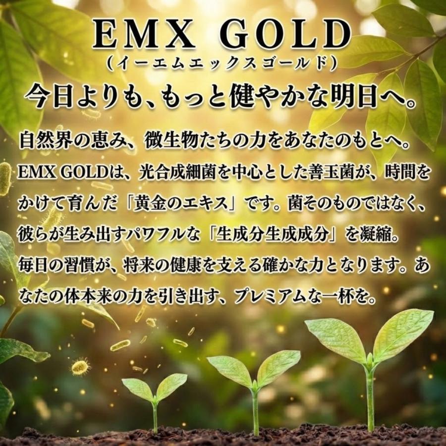 EMX GOLD 栄養ドリンク 500ml 3本セット 送料無料】発酵飲料水 EMXGOLD（EMXゴールド）500ml ×3本セット EM X