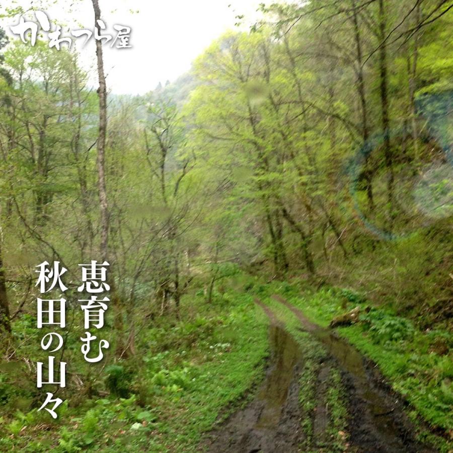 秋田県産】わらび水煮 天然ワラビ 独特の粘りと食感 ご家庭で簡単調理